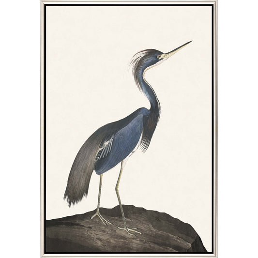 Paragon Great Heron I