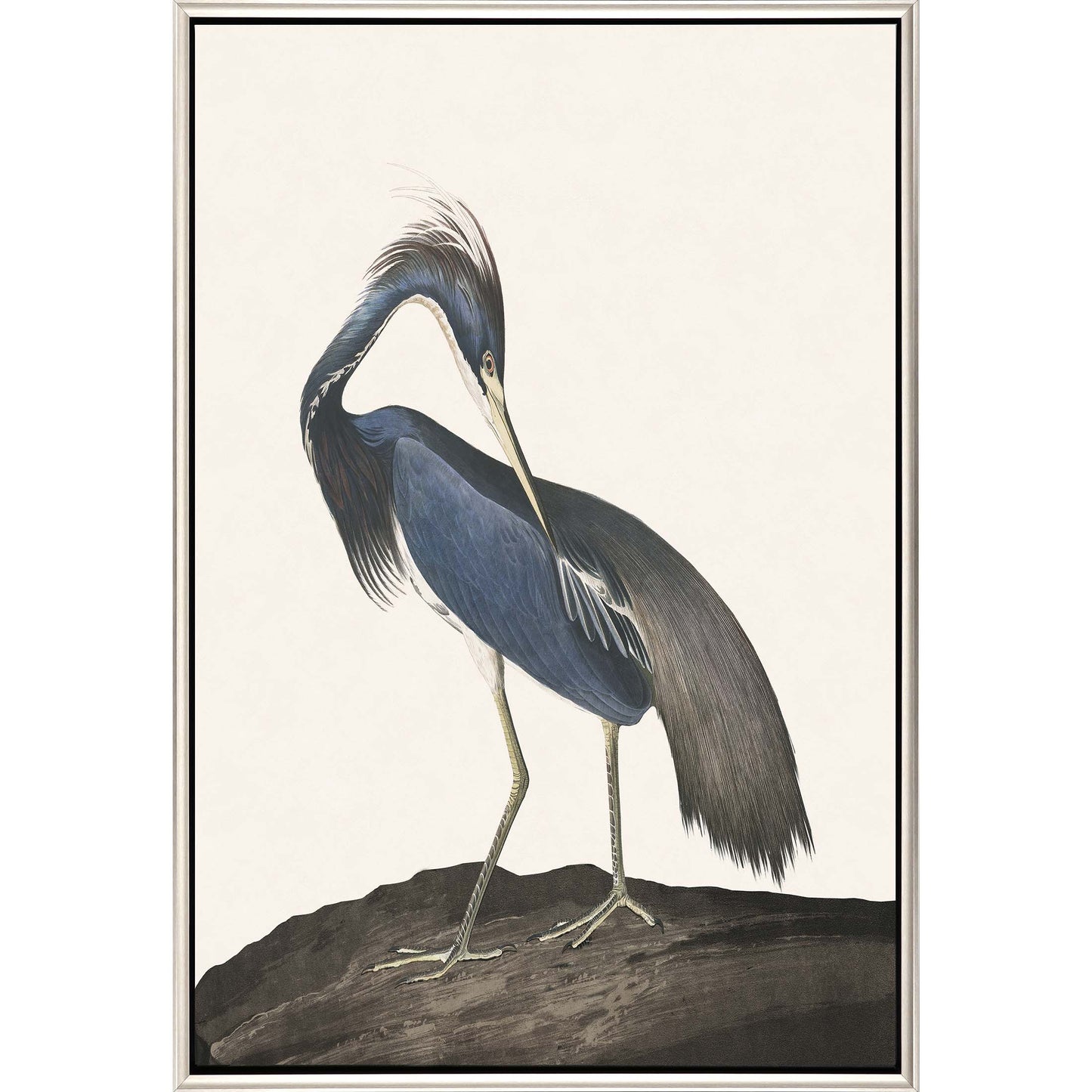 Paragon Great Heron II