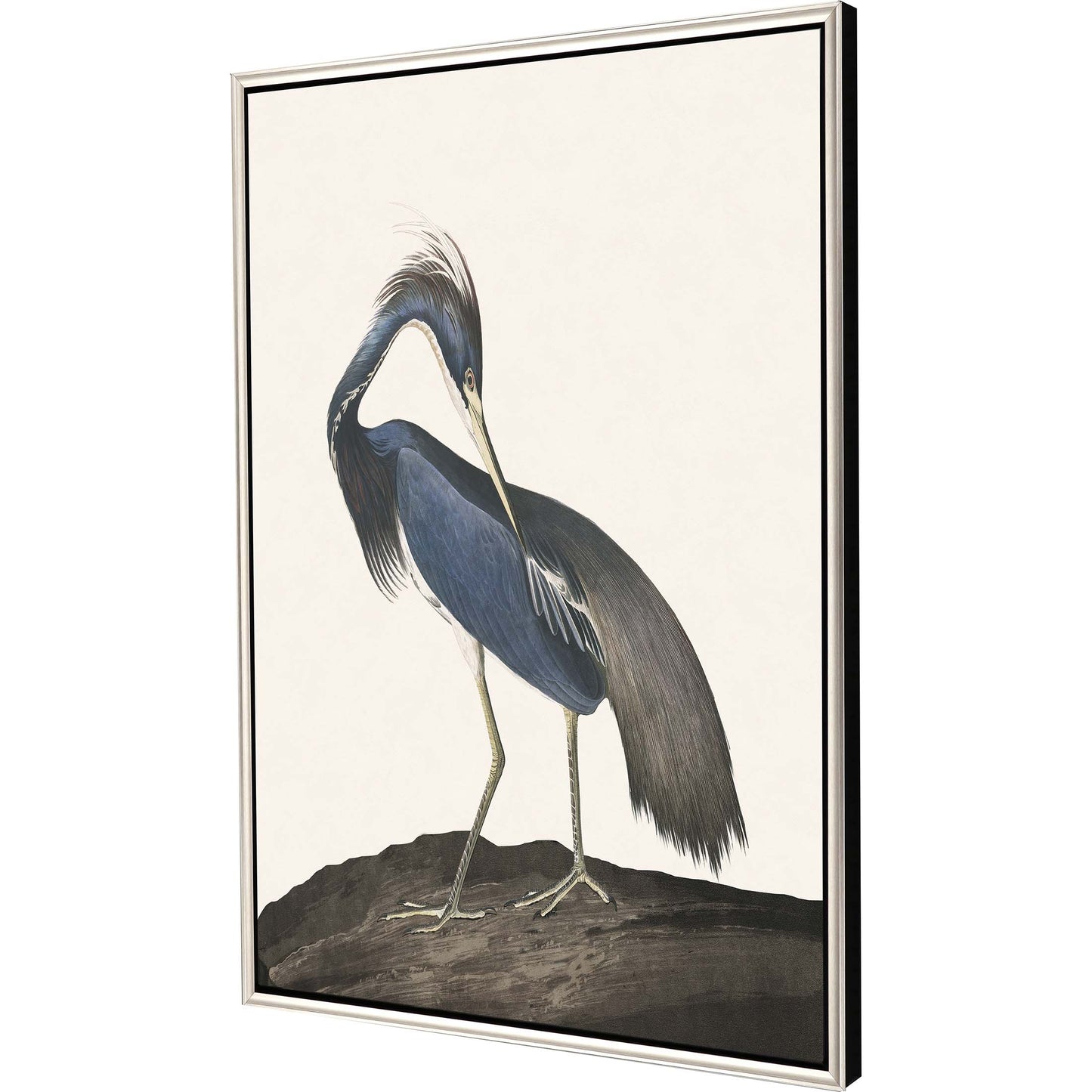 Paragon Great Heron II