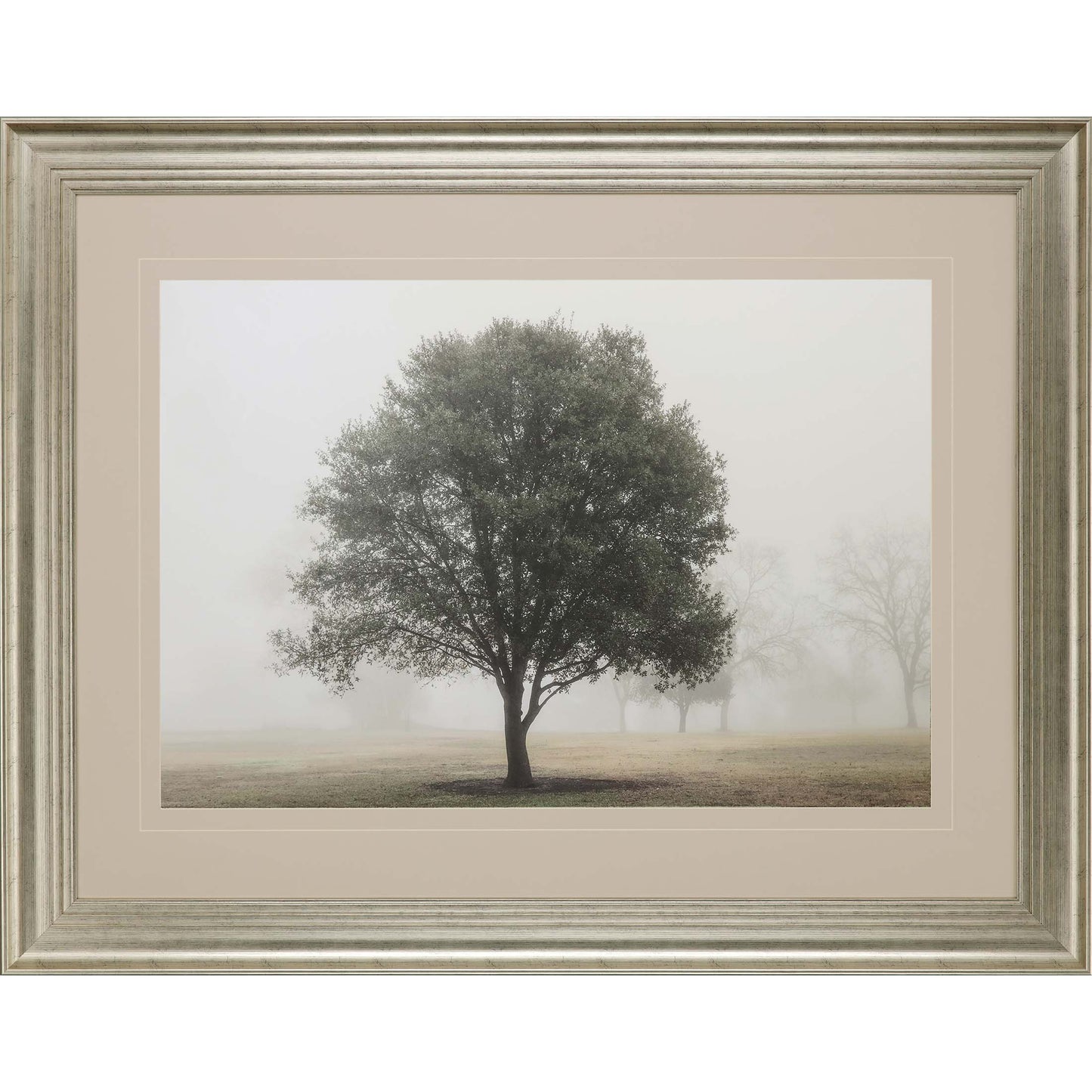 Paragon Trees in Fog I