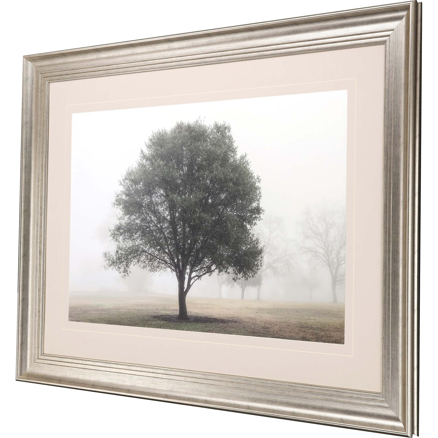 Paragon Trees in Fog I