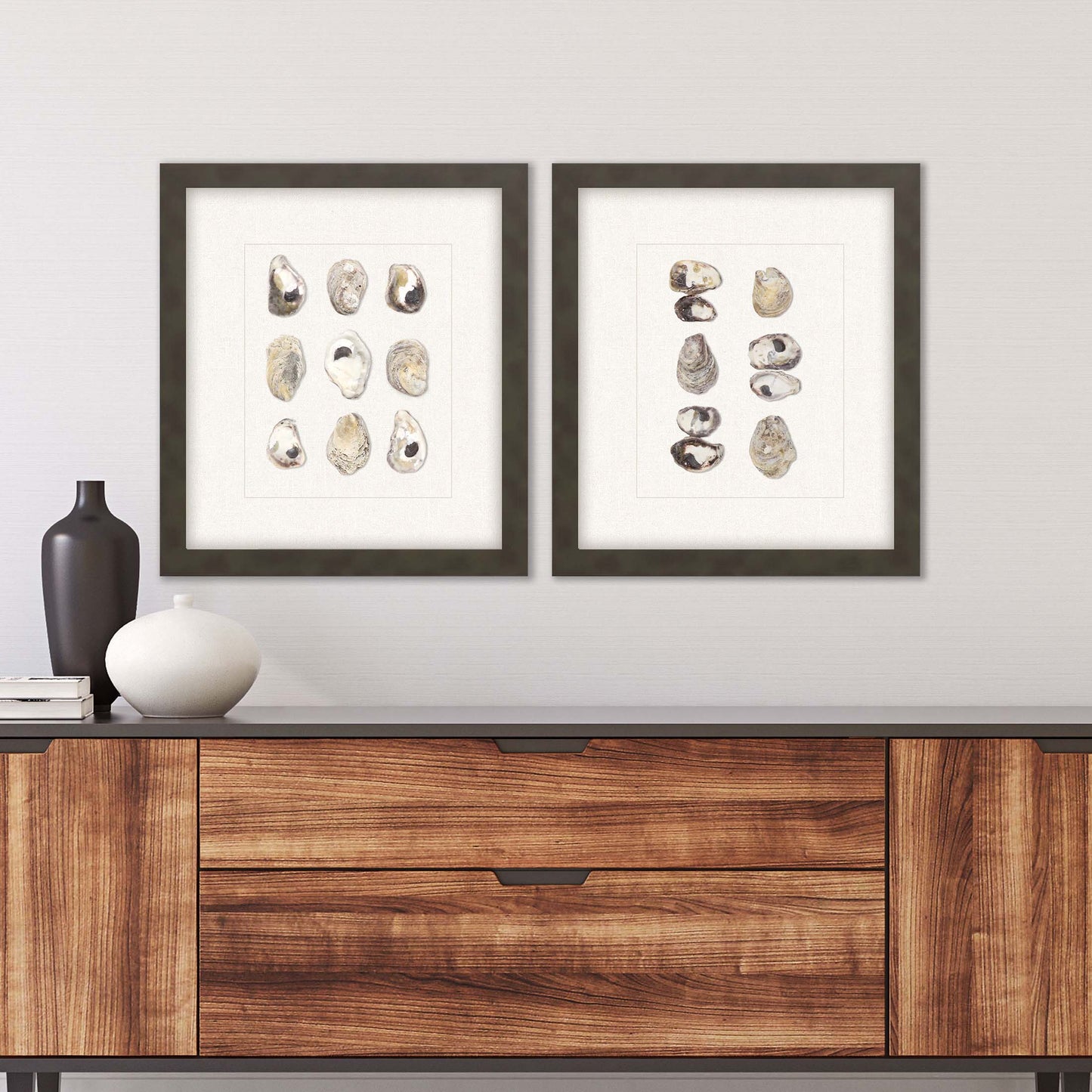 Paragon Shell Series S/2