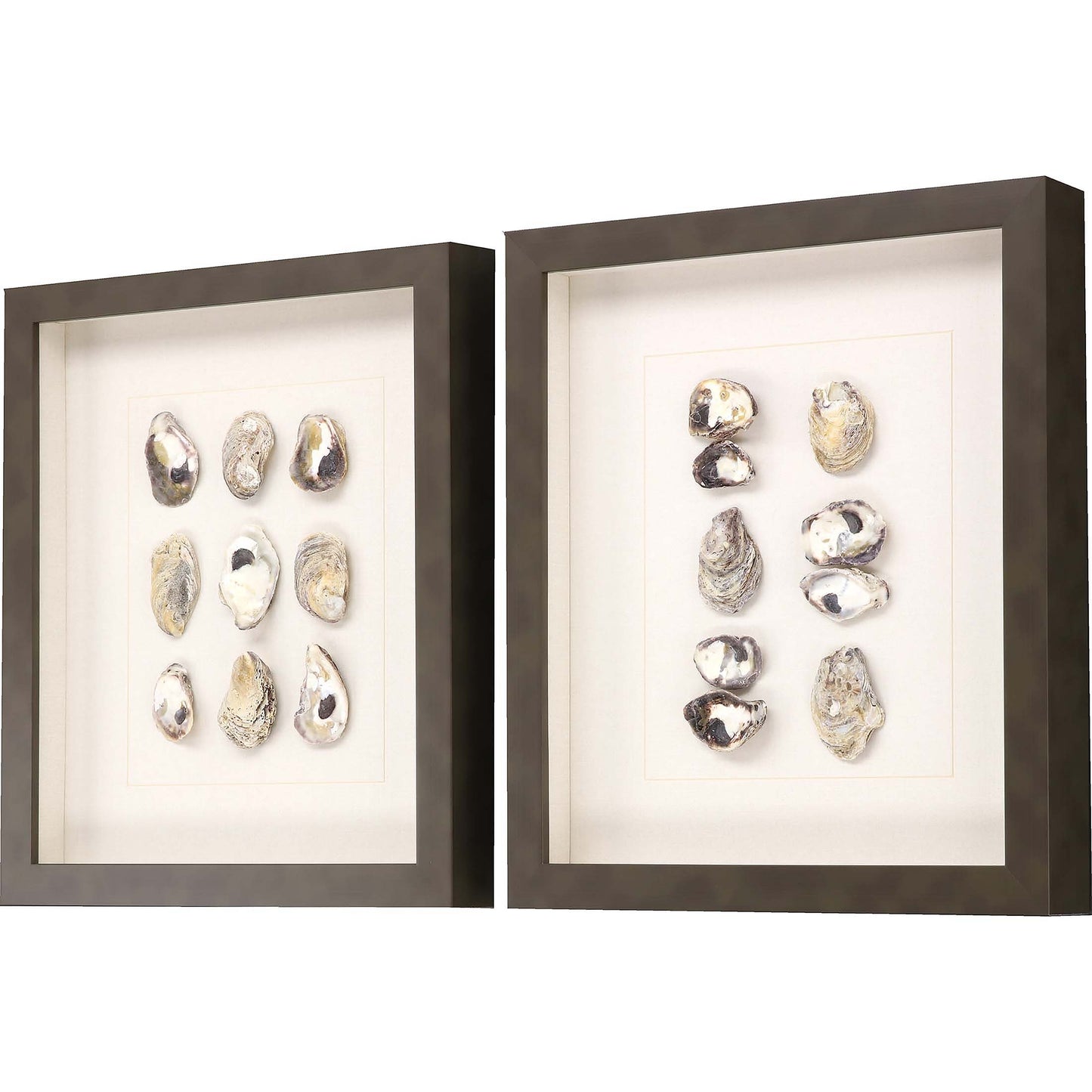Paragon Shell Series S/2
