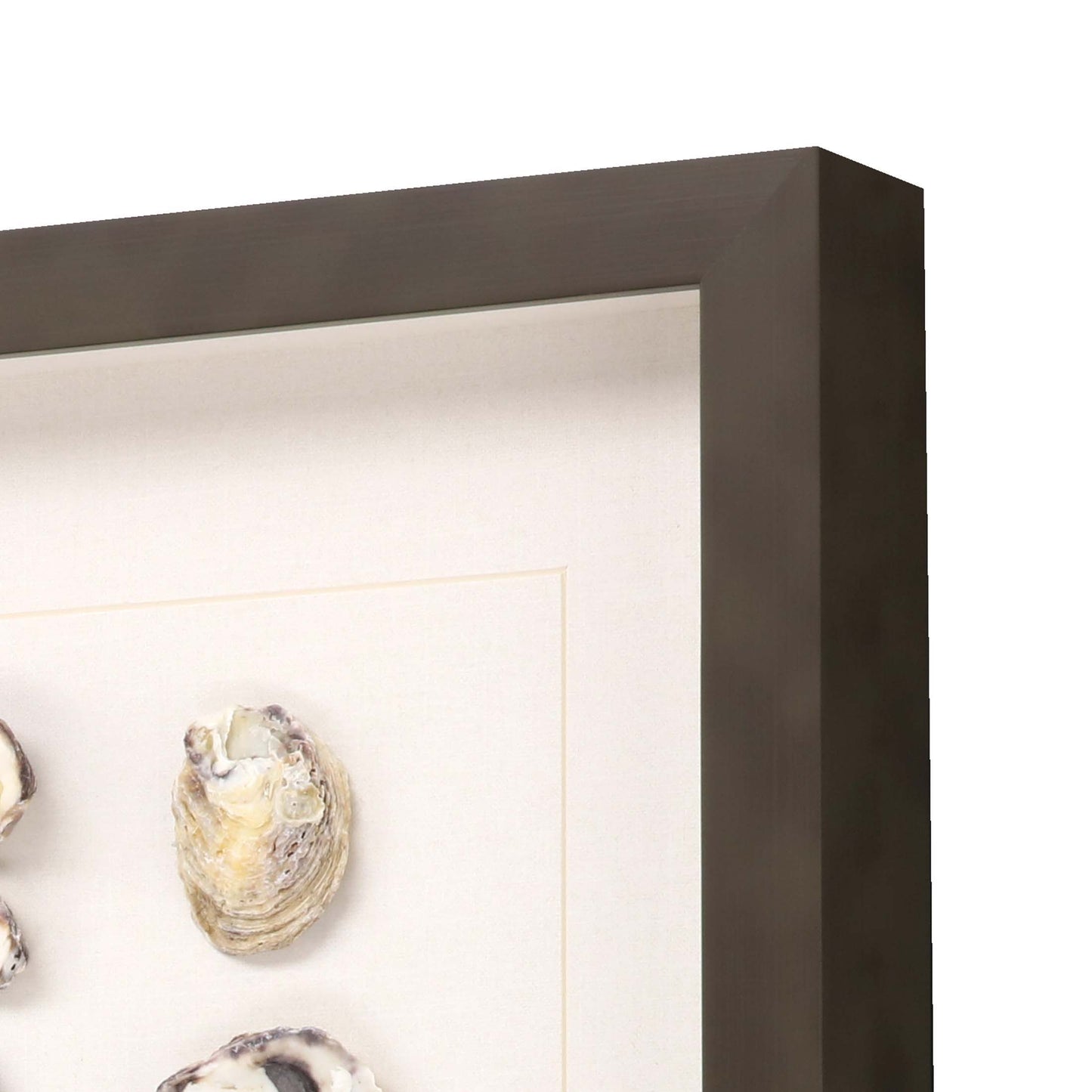 Paragon Shell Series S/2