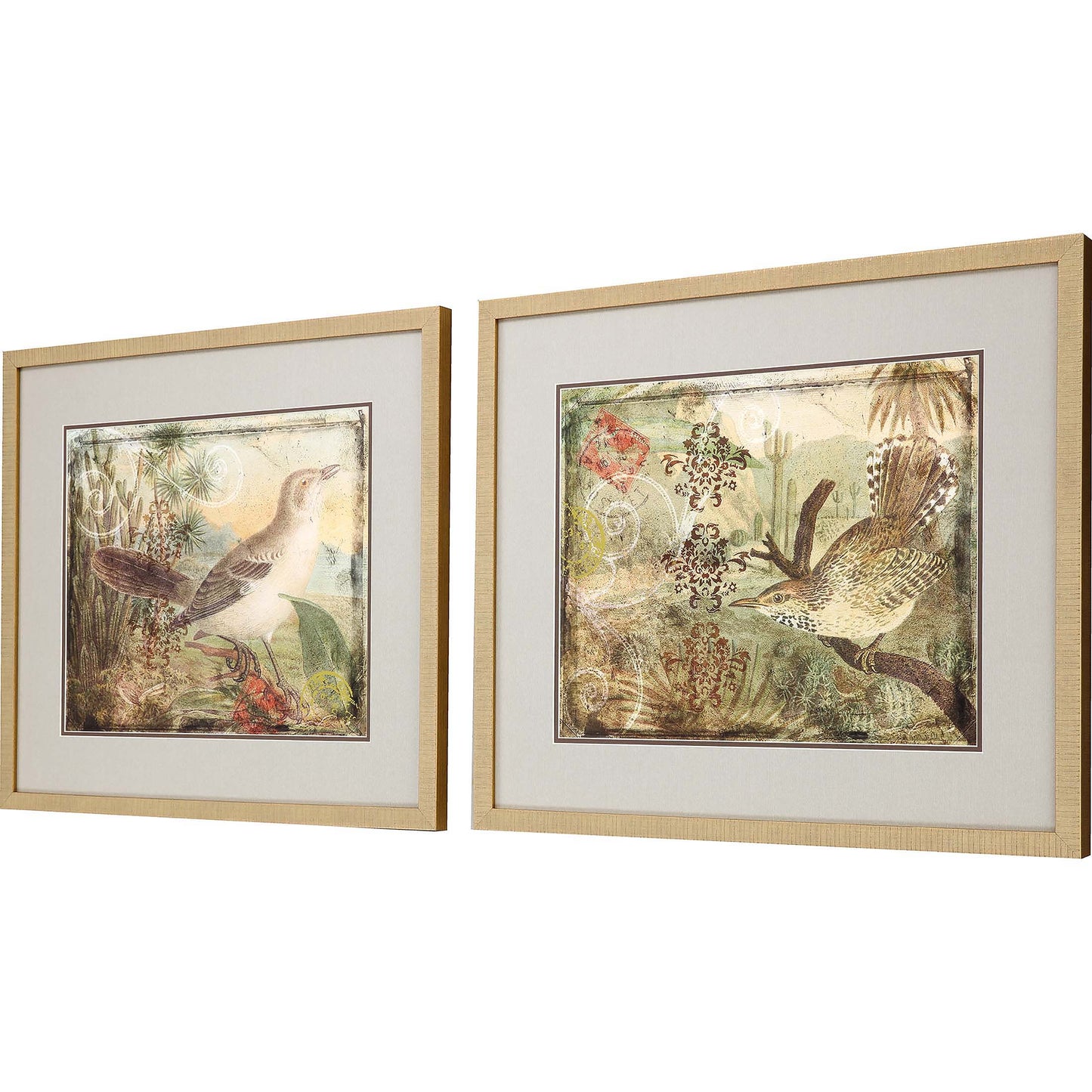Paragon Ornamental Bird II S/2