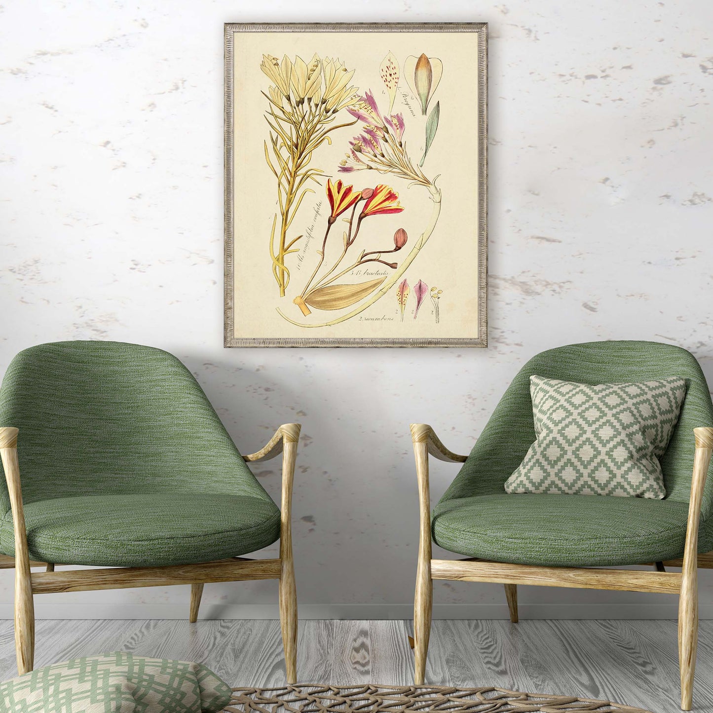 Paragon Antique Sketch