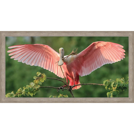 Paragon Nesting Spoonbill