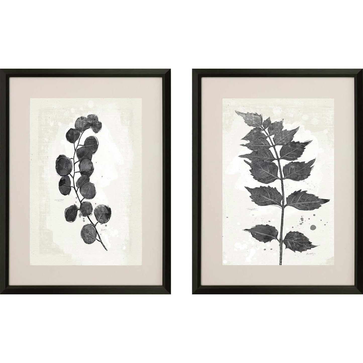 Paragon Garden Vines I S/2