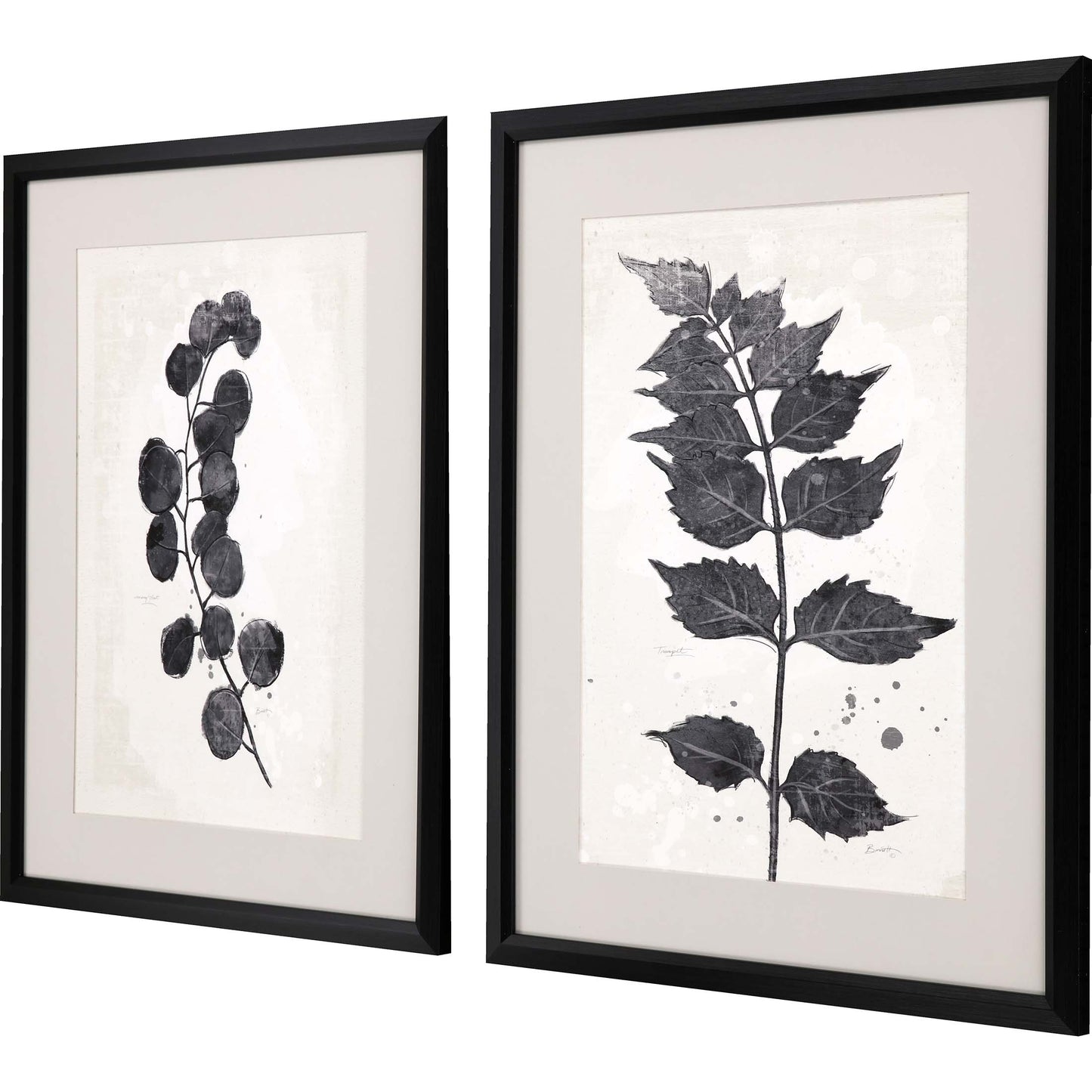 Paragon Garden Vines I S/2