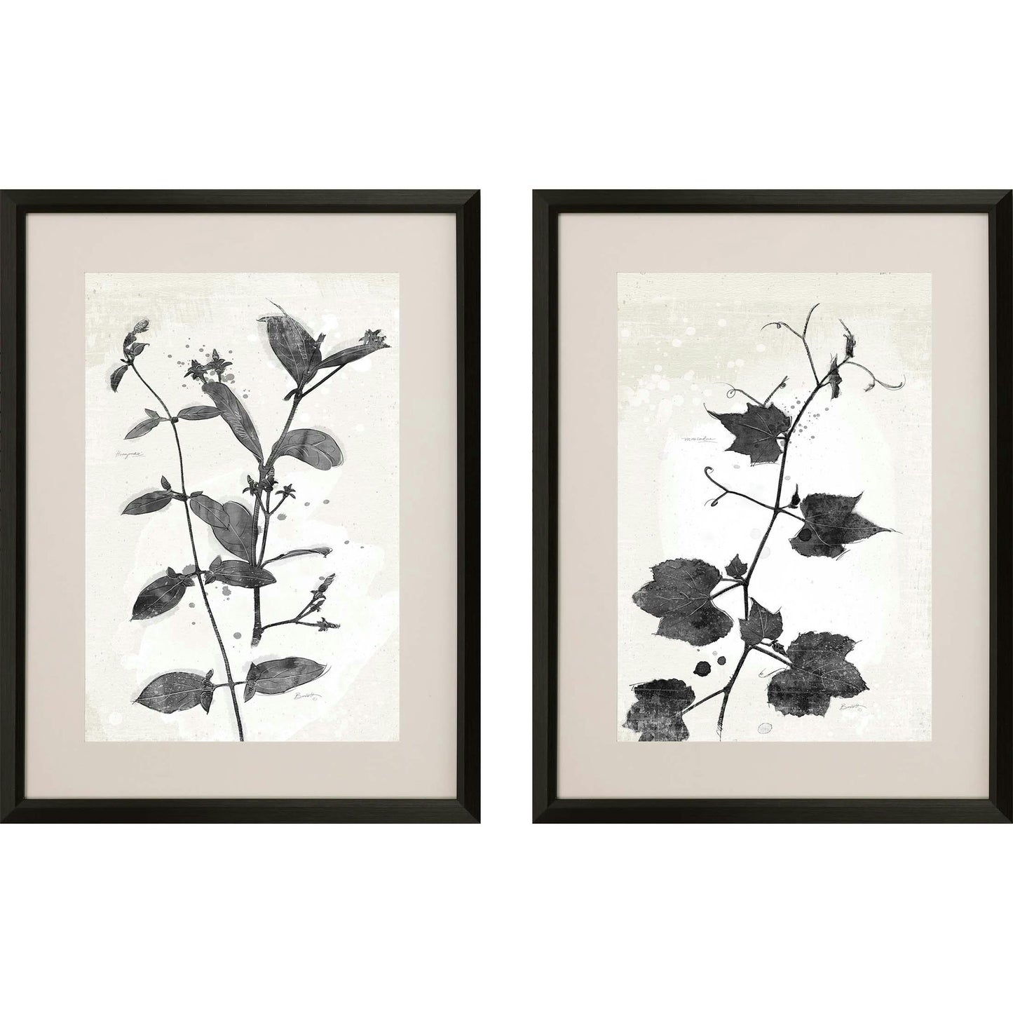 Paragon Garden Vines II S/2
