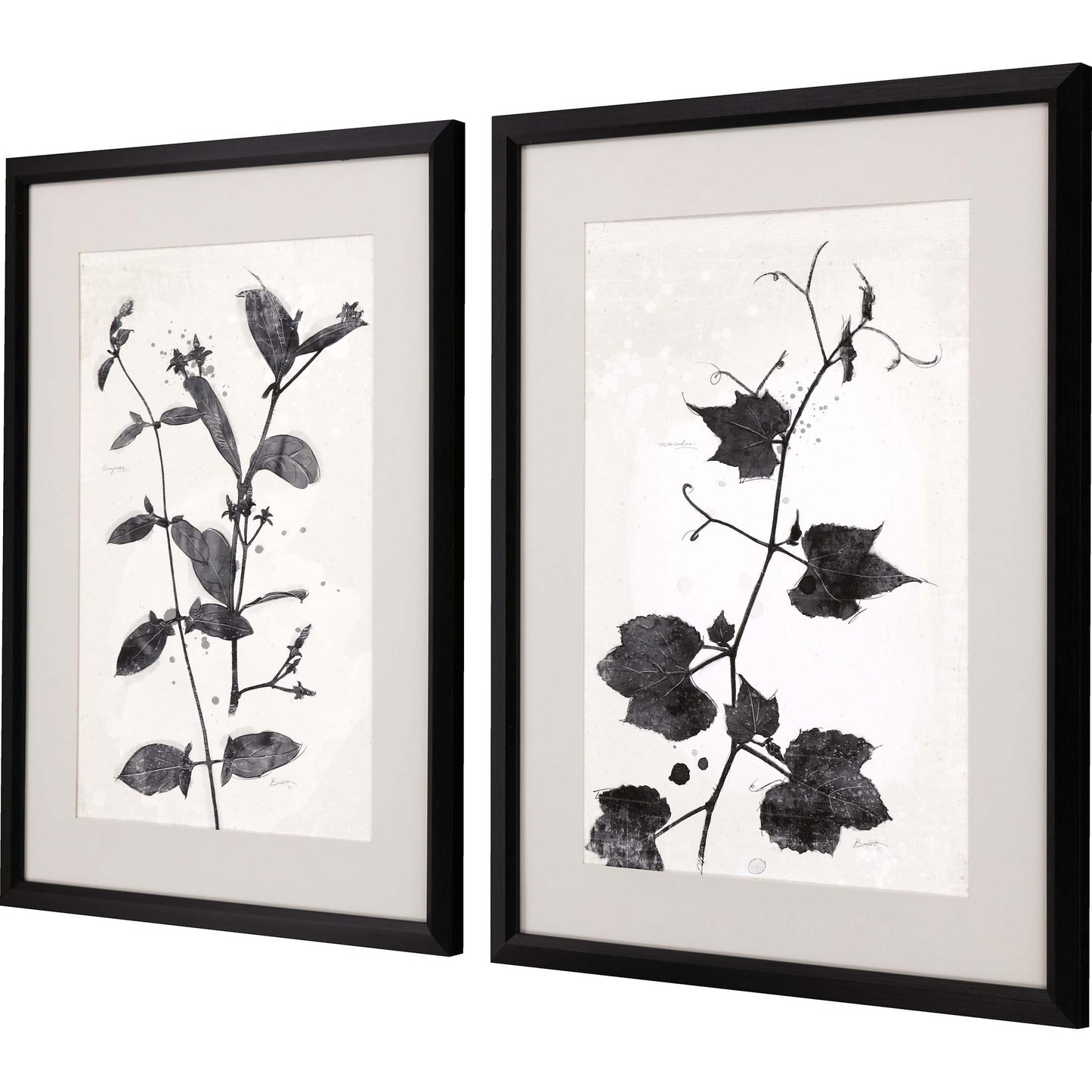 Paragon Garden Vines II S/2