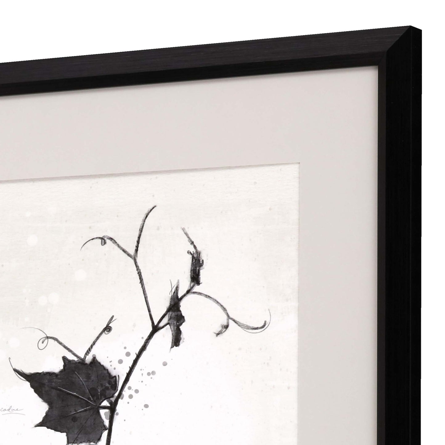 Paragon Garden Vines II S/2