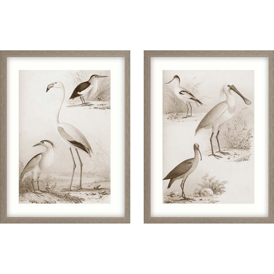 Paragon Sepia Water Birds I S/2