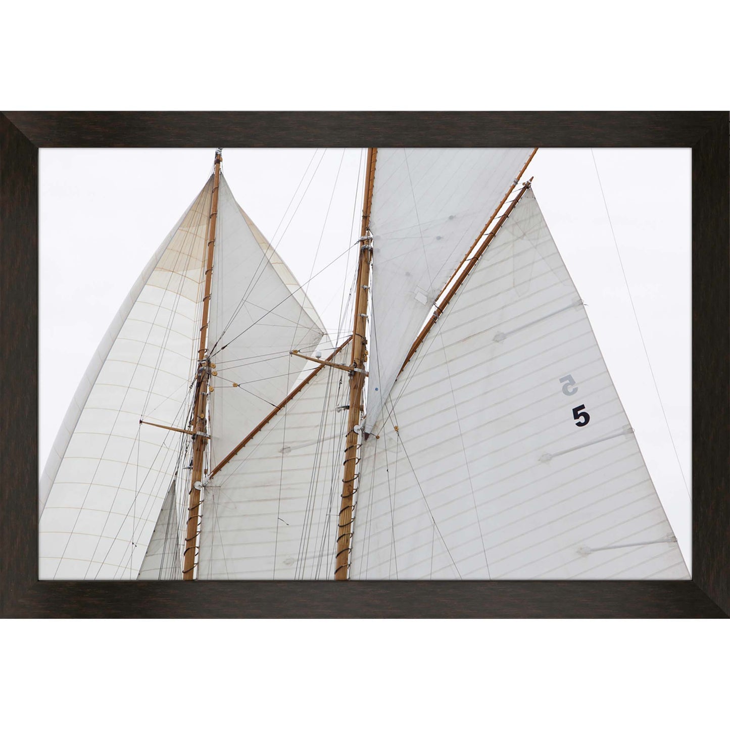 Paragon Sailing Focus - Run