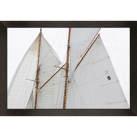 Paragon Sailing Focus - Run