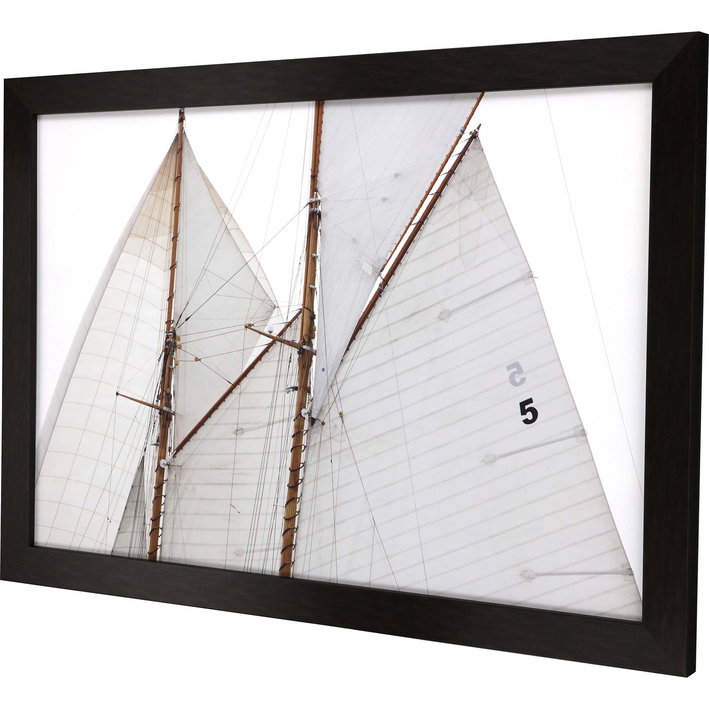 Paragon Sailing Focus - Run