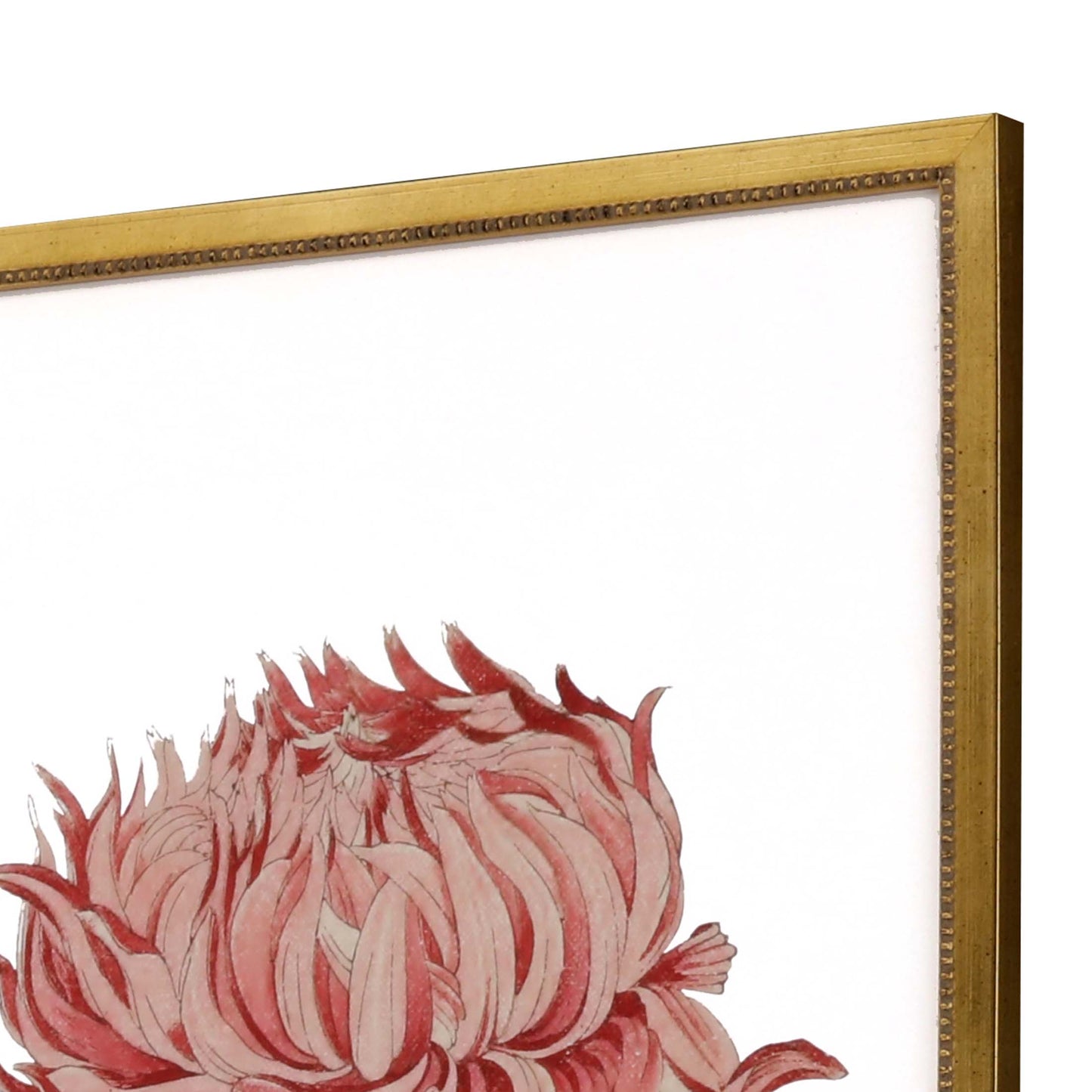 Paragon Chrysanthemum S/4