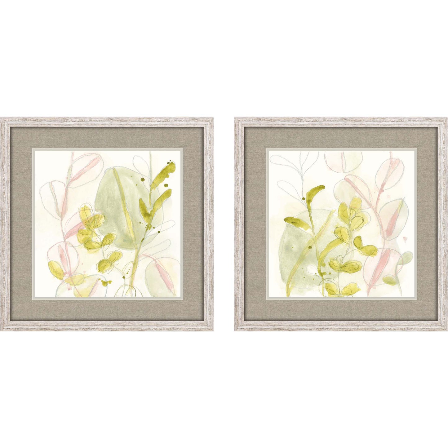 Paragon Celadon Trace S/2