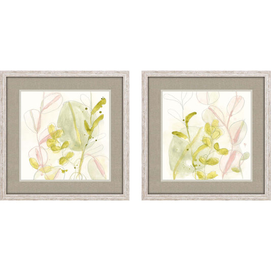 Paragon Celadon Trace S/2