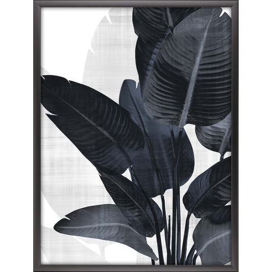 Paragon Palm Noir I