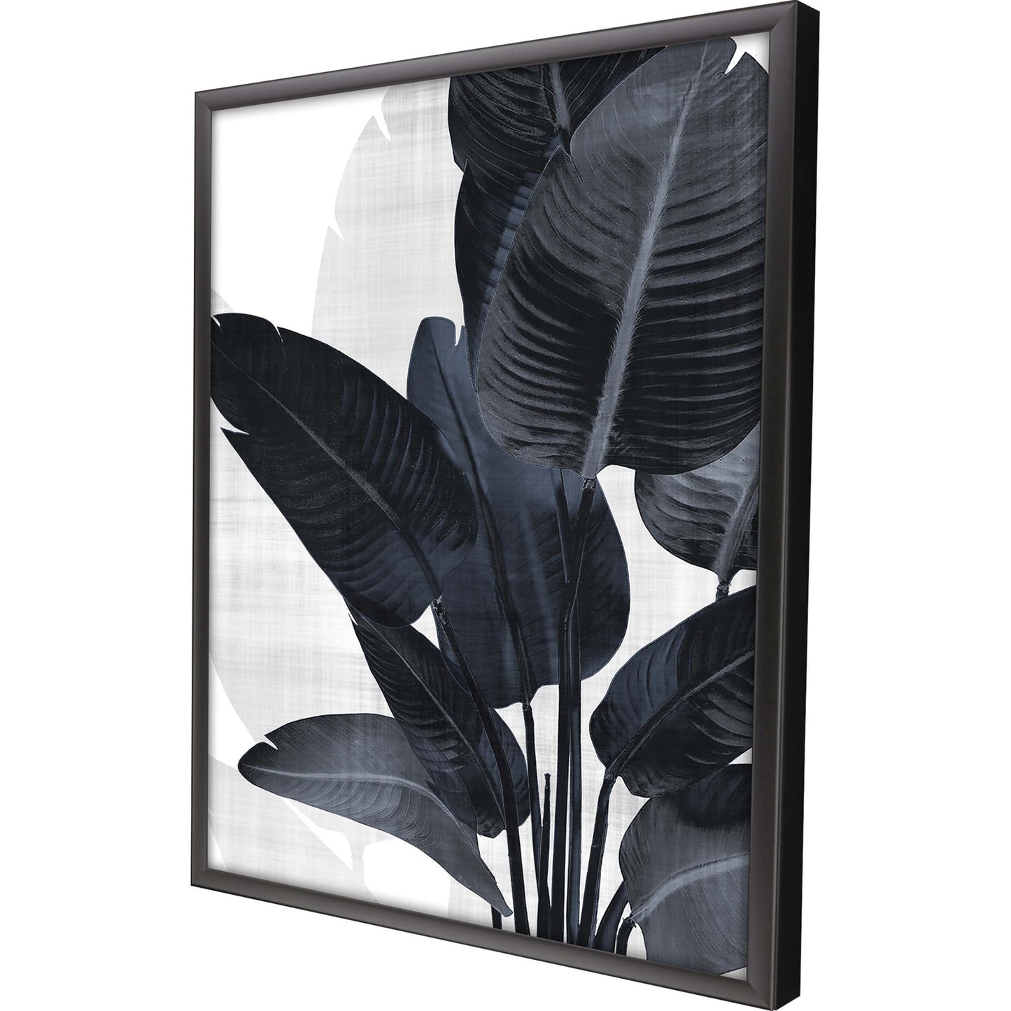 Paragon Palm Noir I