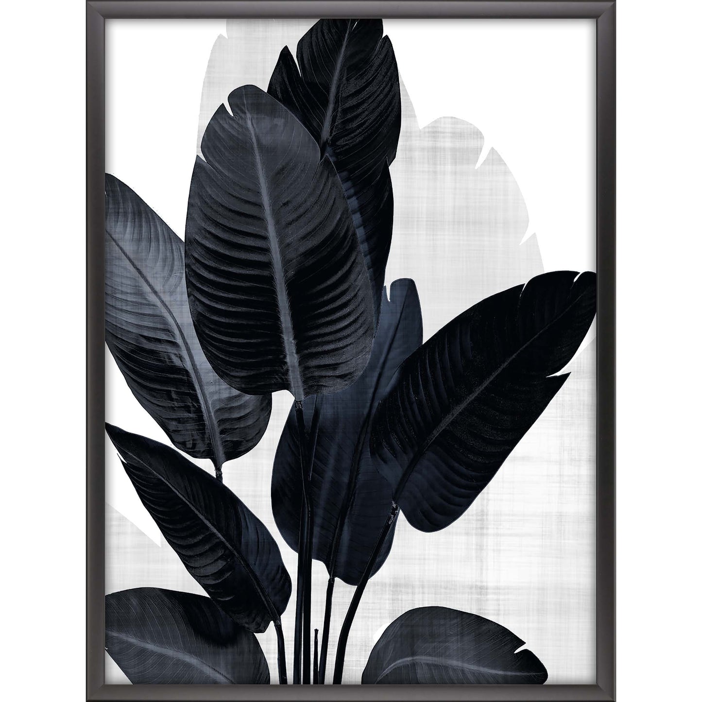 Paragon Palm Noir II