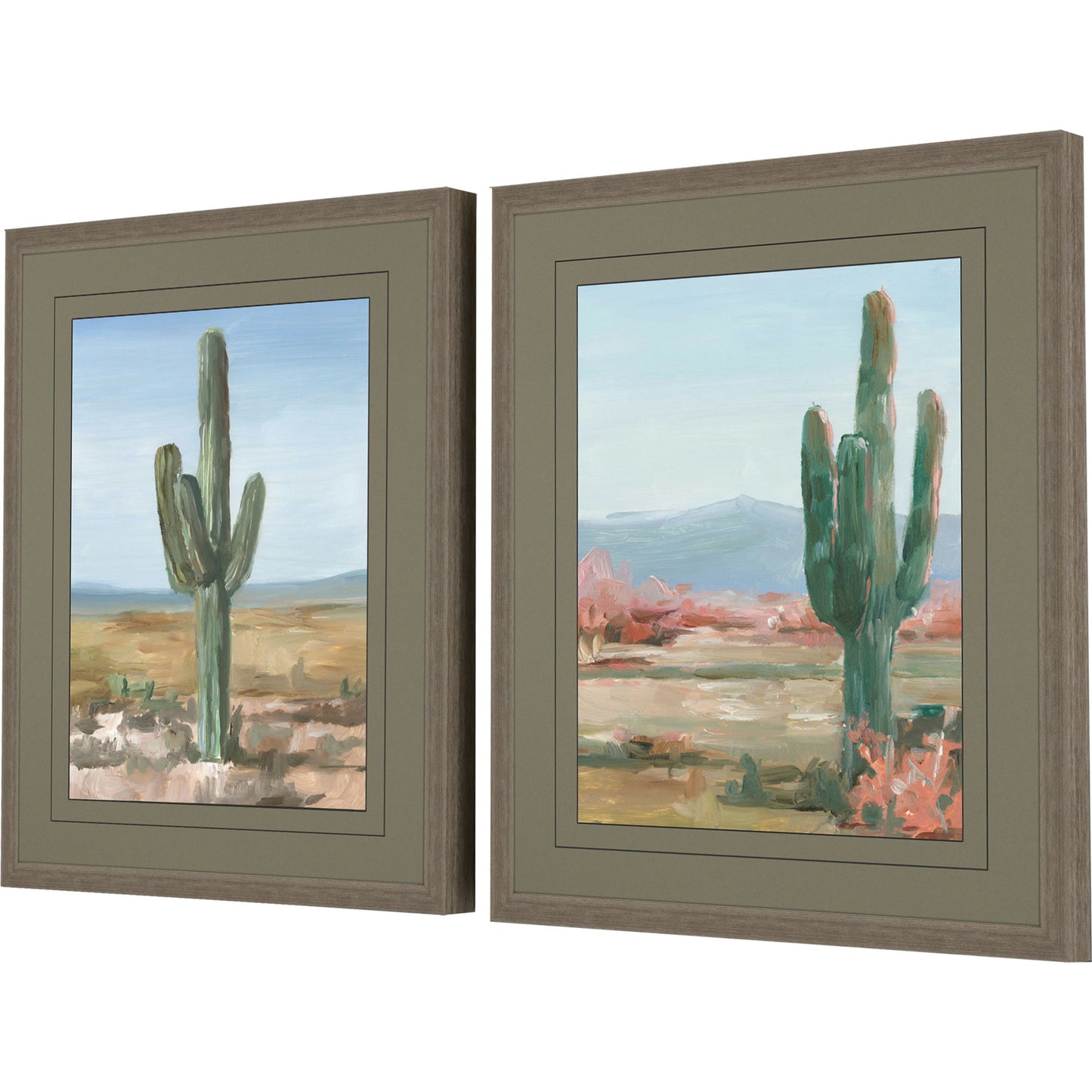 Paragon Cactus Study S/2