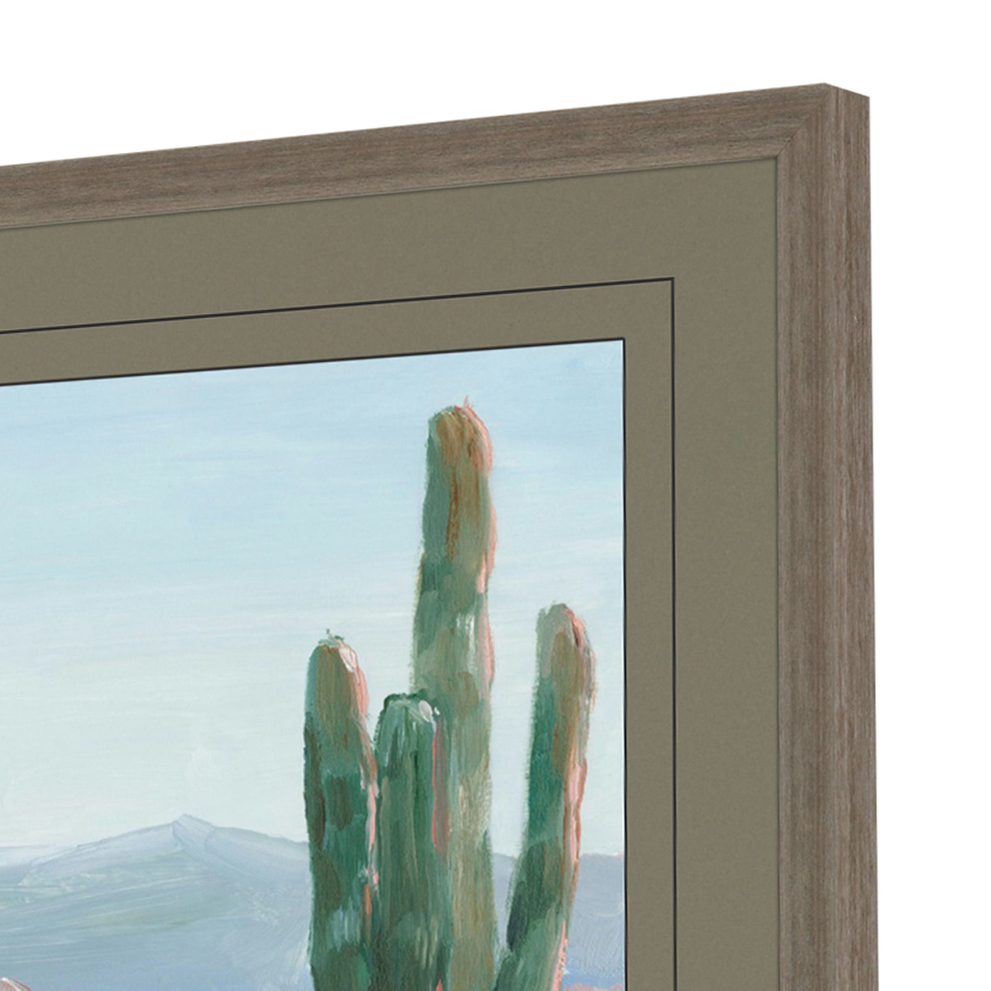 Paragon Cactus Study S/2