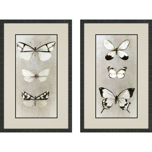 Paragon Delicate Butterflies S/2