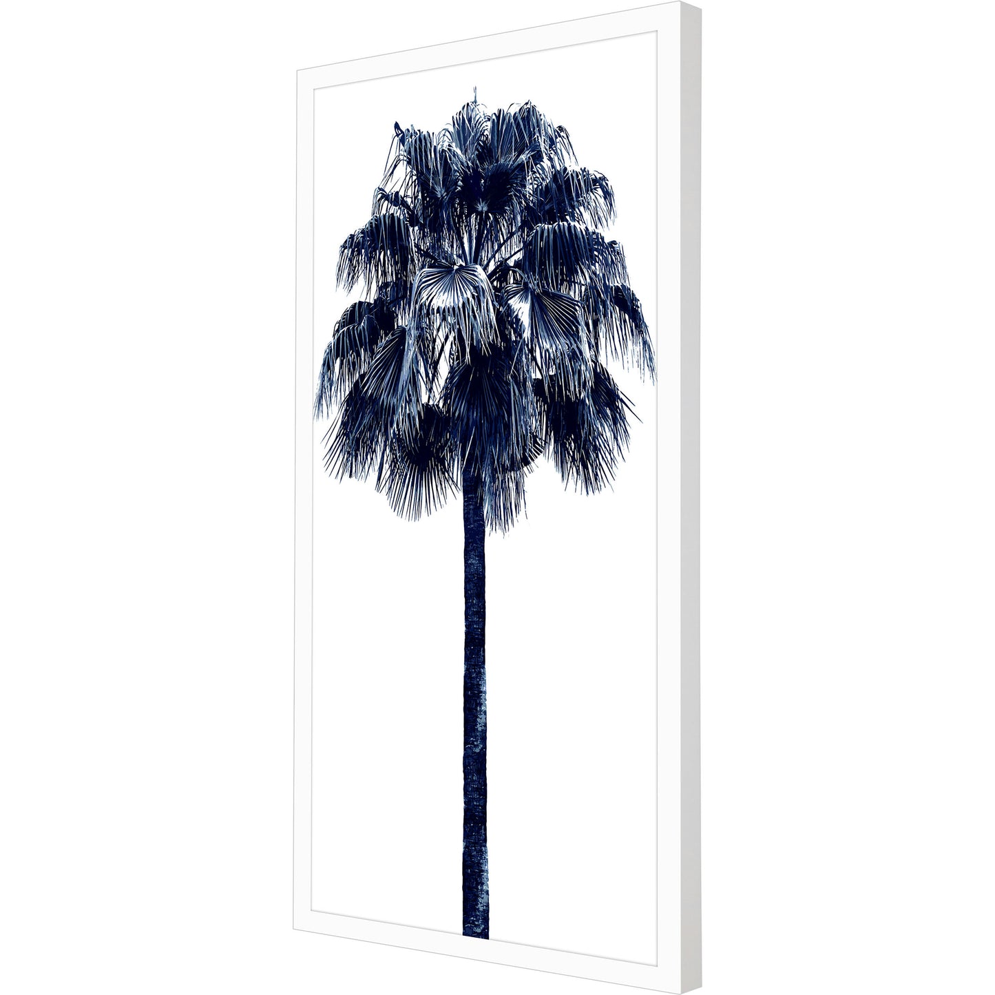 Paragon Palm Tree Blue IV