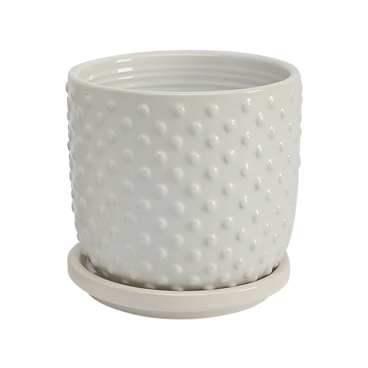 S/2 5/6" Tiny Dots Planter W/ Saucer, White