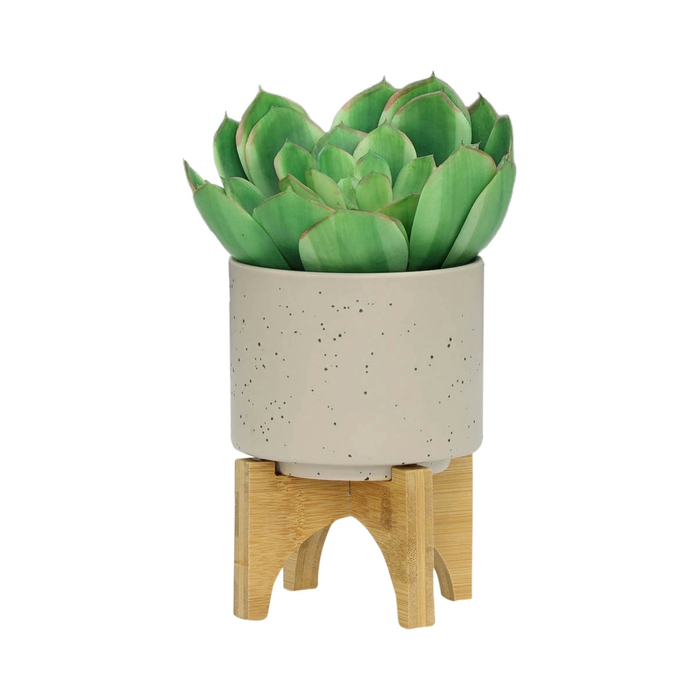 S/2 5/8" Planter W/ Wood Stand, Matte Beige