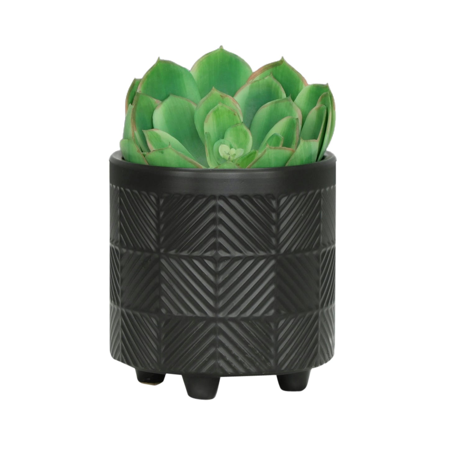 S/2 6/8" Textured Planters, Matte Black