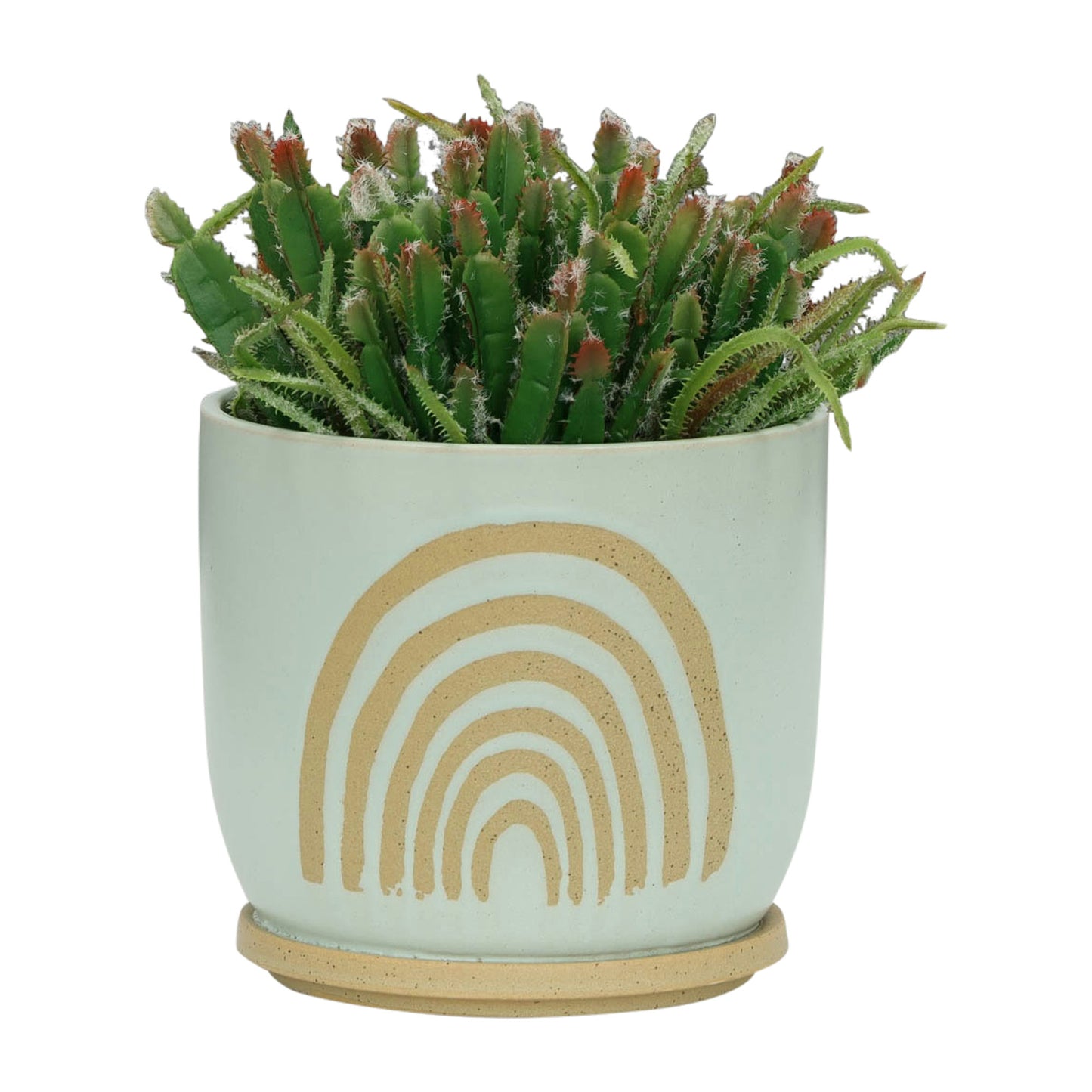 8" Arch Planter W/ Saucer, Mint