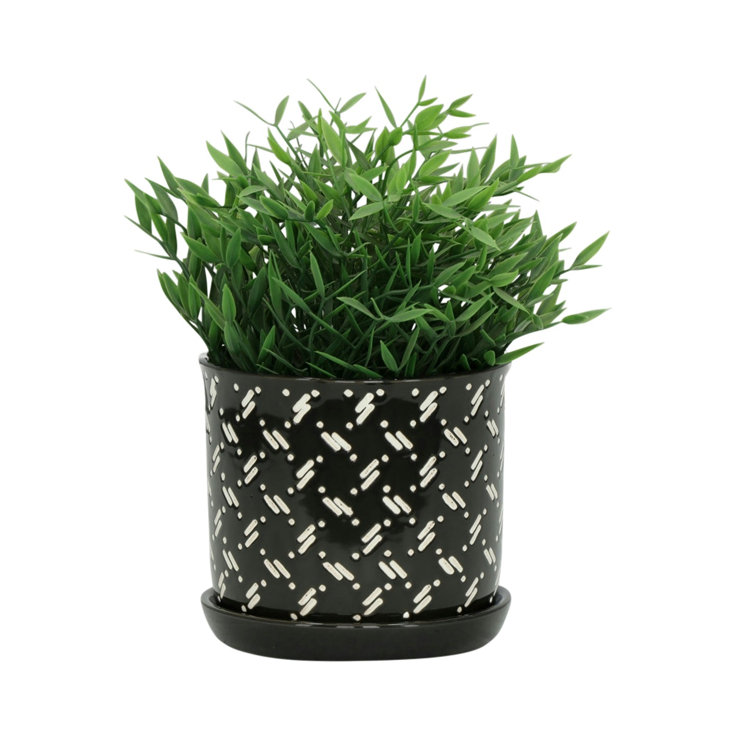 S/2 6/8" Dots Planter W/ Saucer, Black