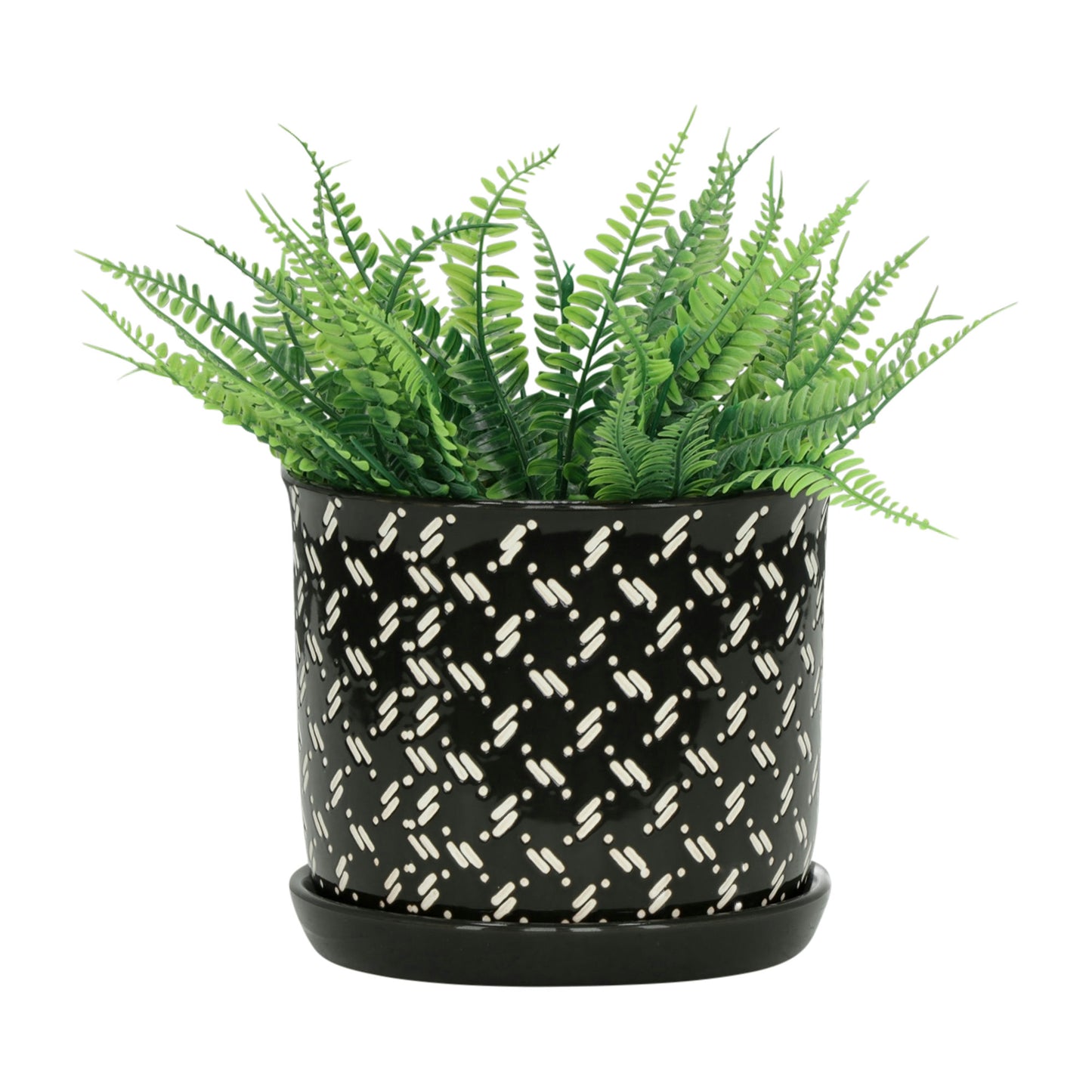 S/2 6/8" Dots Planter W/ Saucer, Black