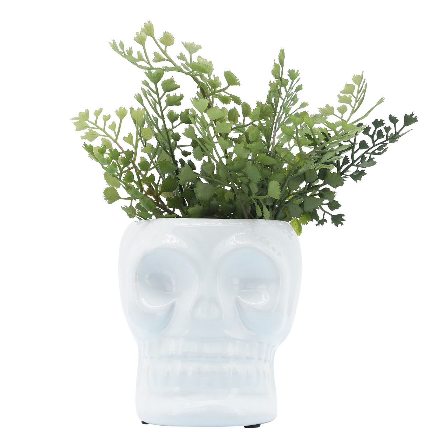 Cer, 5" Skull Vase, White