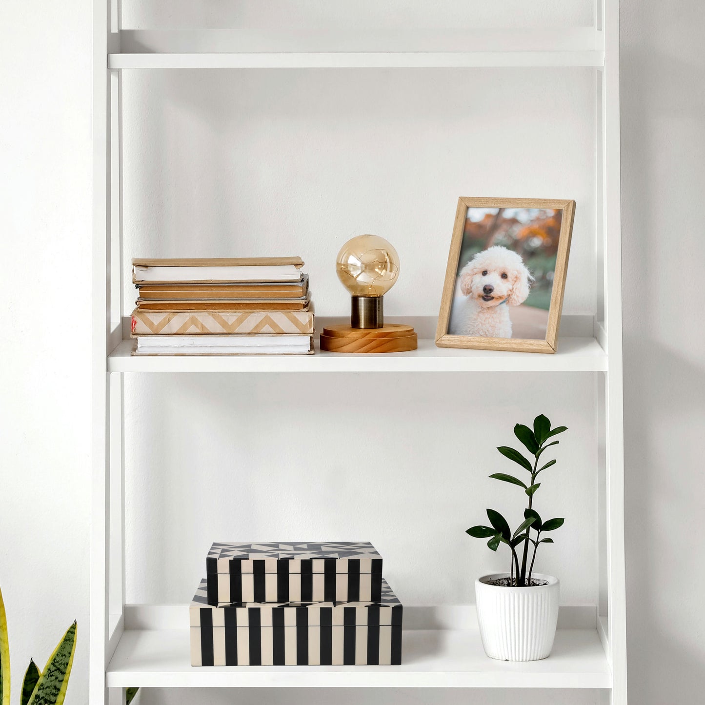 Resin, S/2 10/12" Harlequin Boxes, Black/white