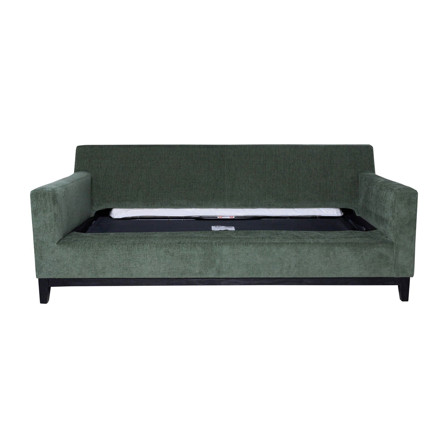 Modern Twin Sleeper Sofa, Green Kd