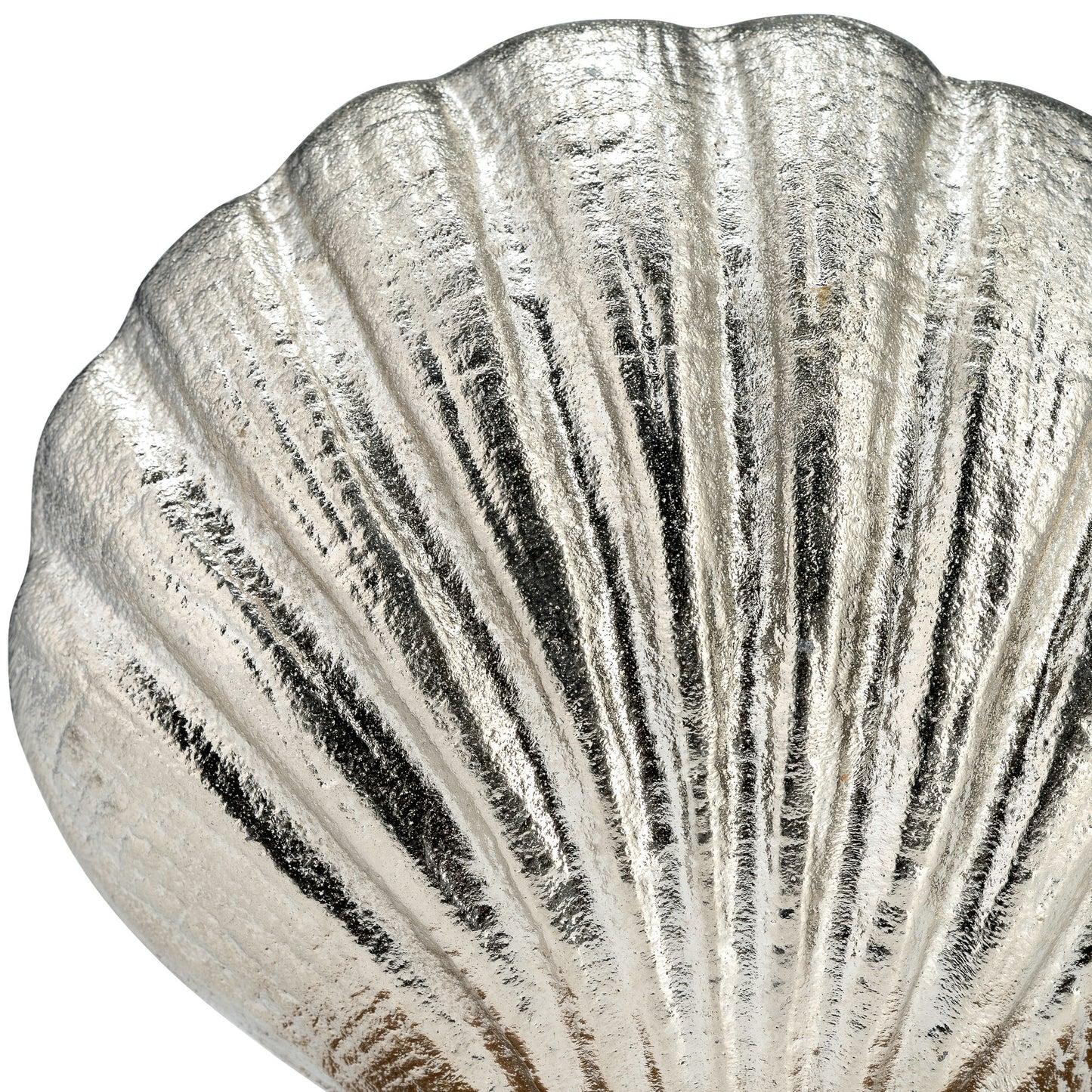 Metal, 6"h Shell W/ Base, Silver