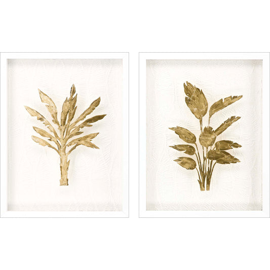 Paragon Golden Palm I S/2