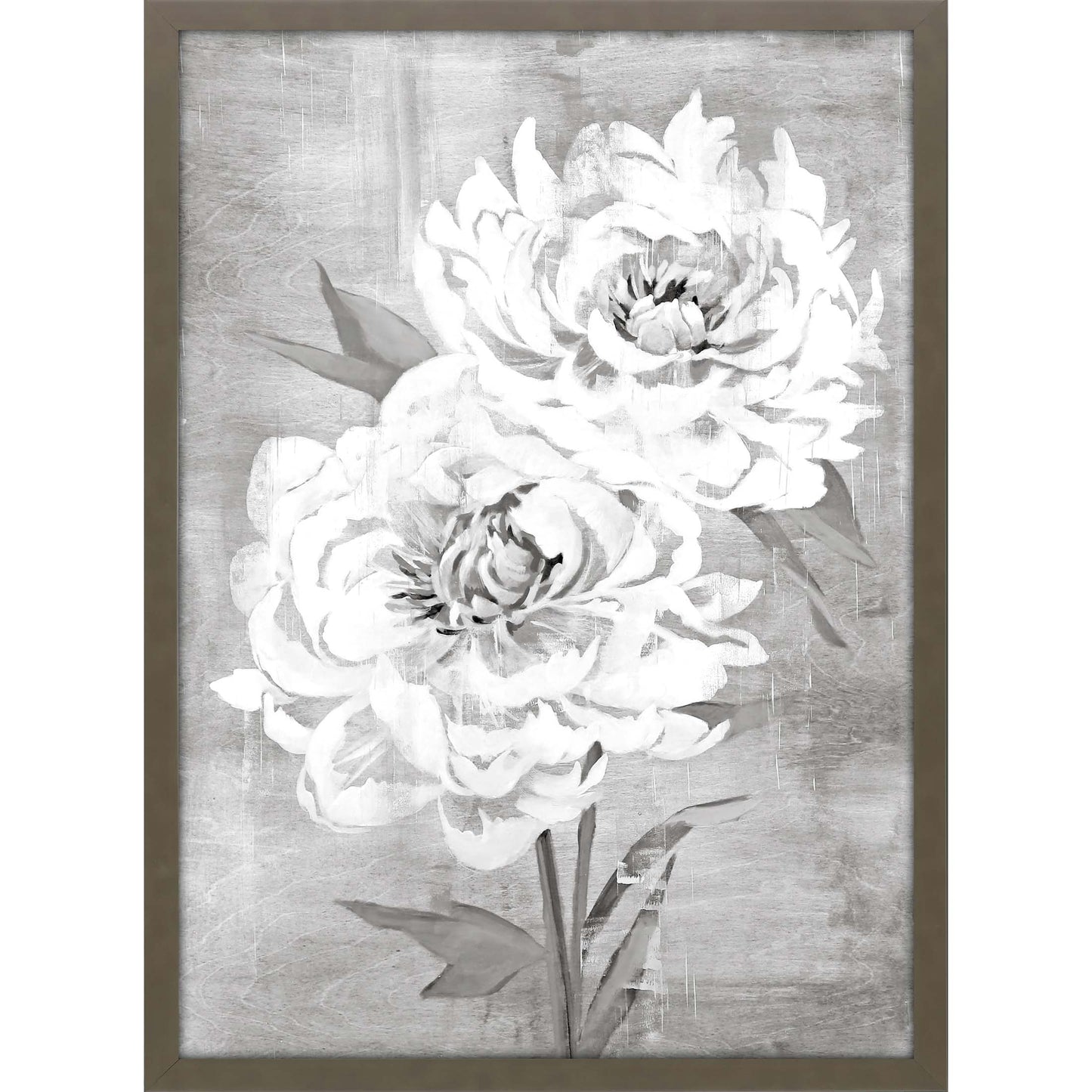 Paragon Peony I