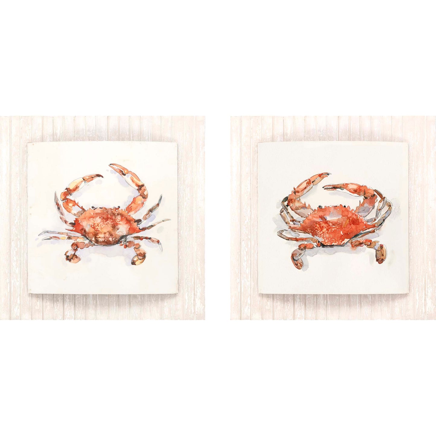 Paragon Crusty Crab - Convex S/2