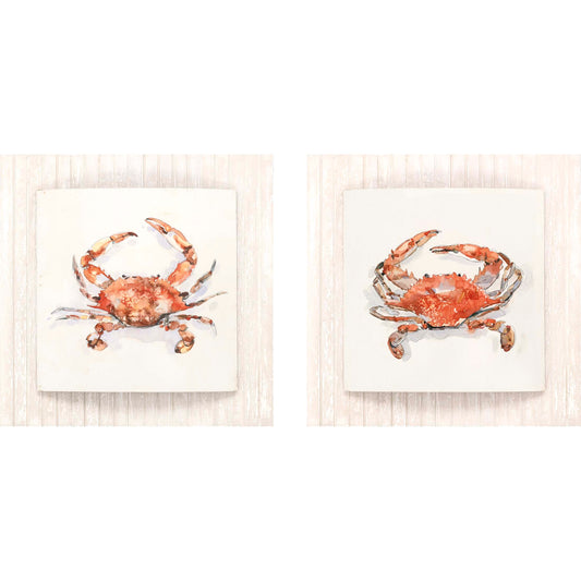 Paragon Crusty Crab - Convex S/2