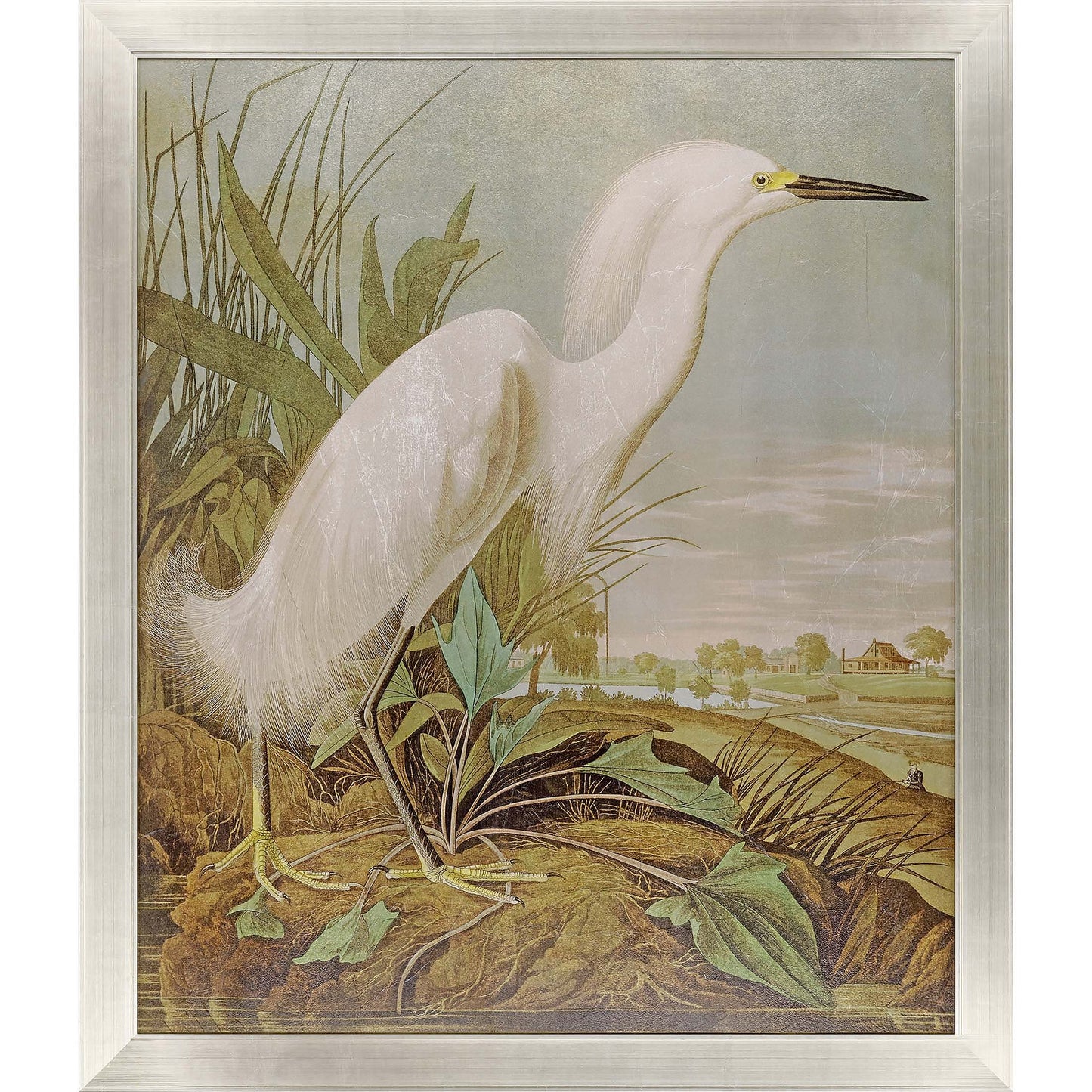 Paragon White Egret