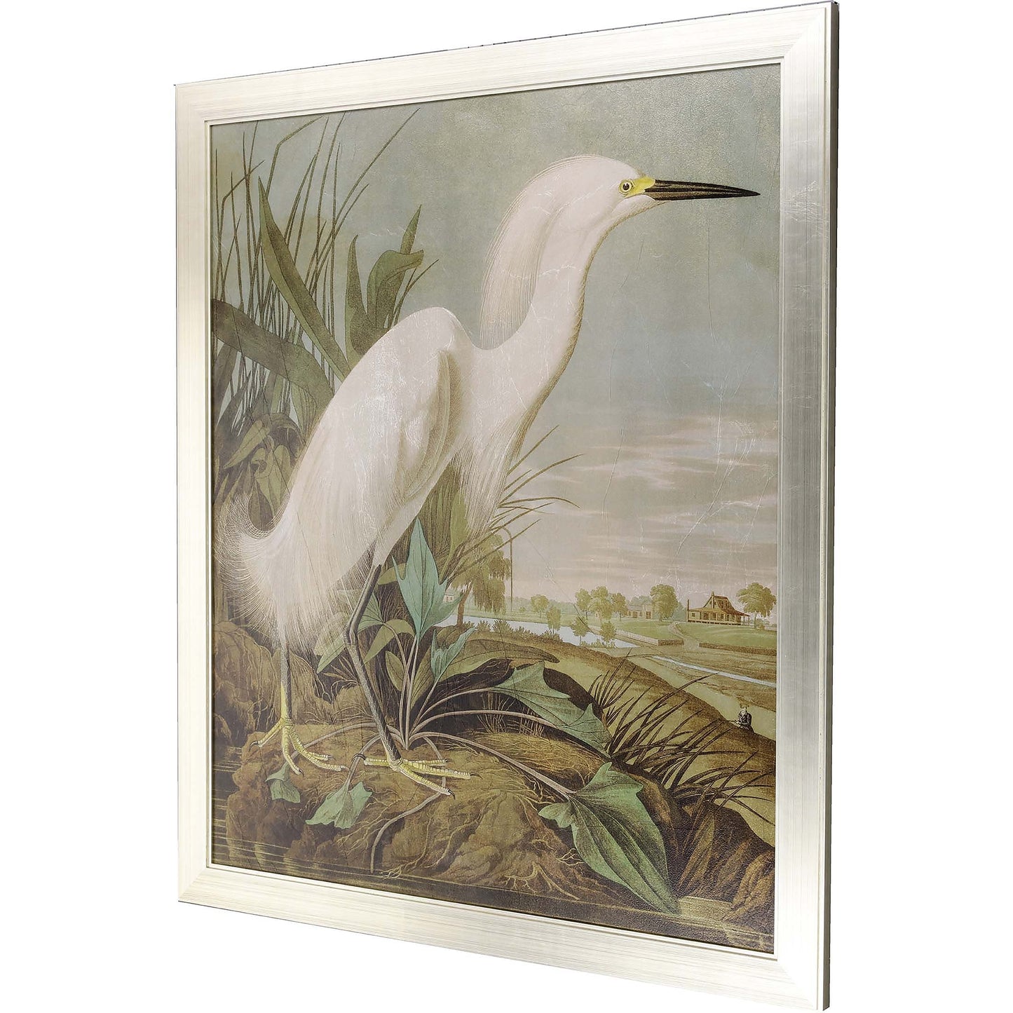 Paragon White Egret