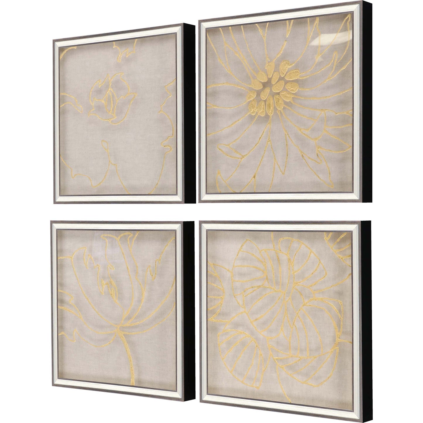 Paragon Golden Organics II S/4
