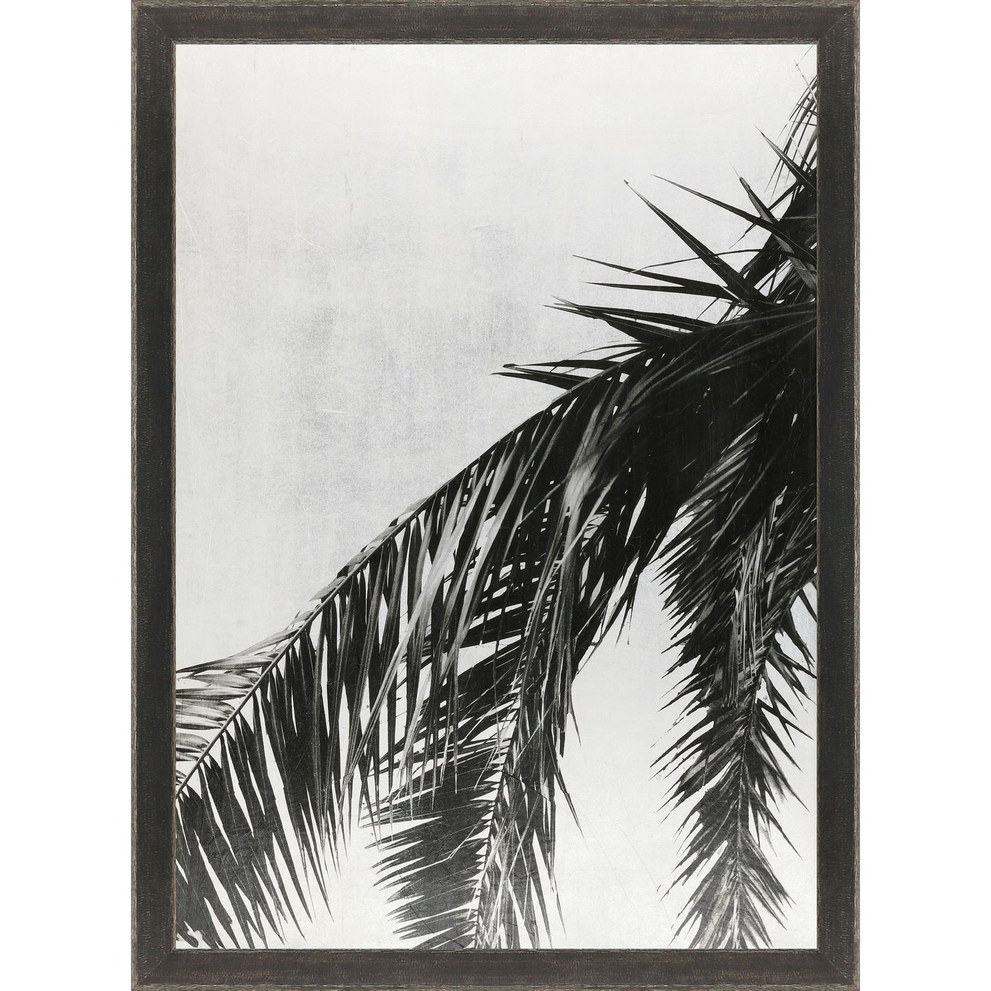 Paragon Palm on Silver Leaf