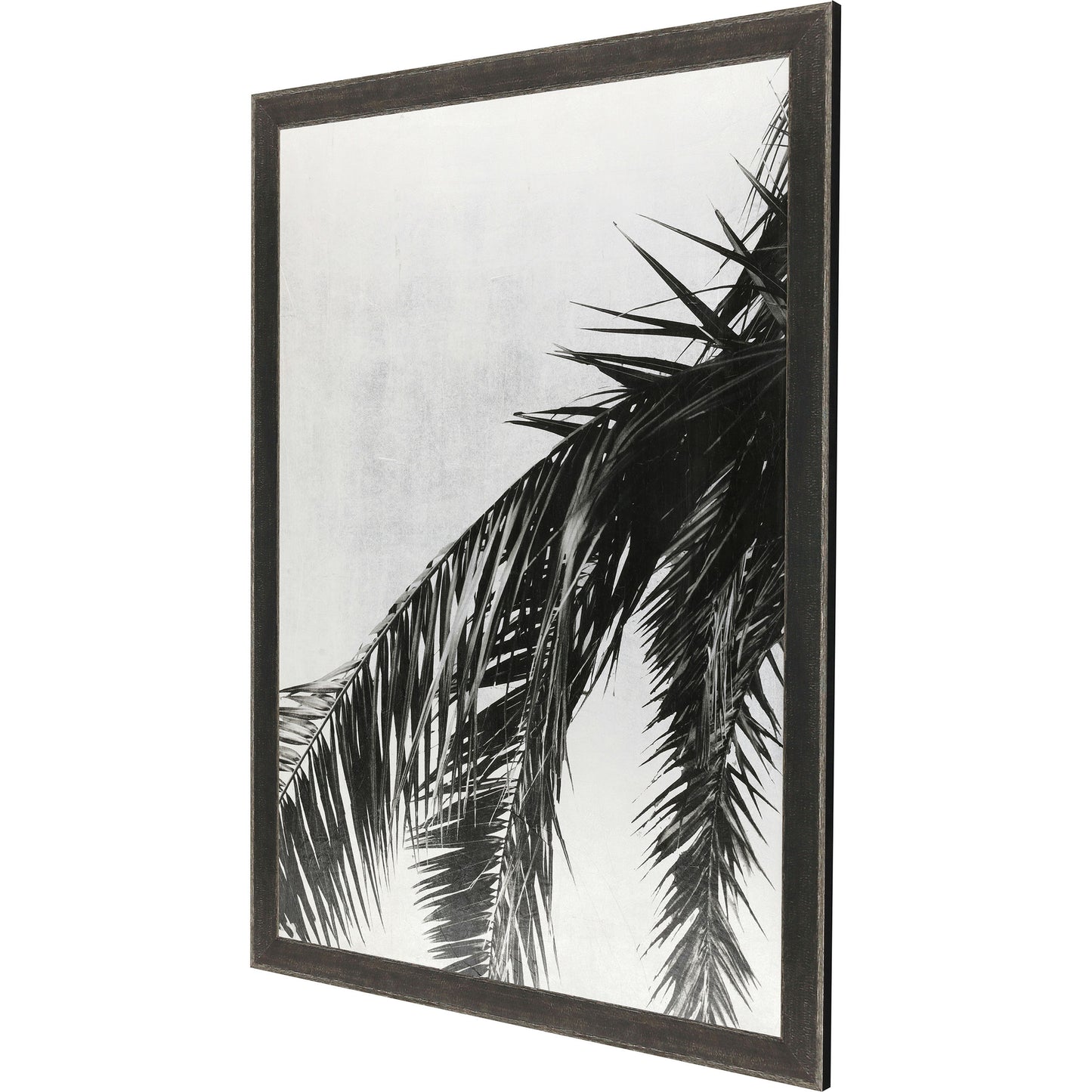 Paragon Palm on Silver Leaf