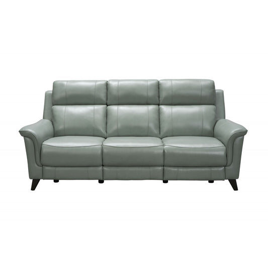 39PH-3716 Kester Power Reclining Sofa, Lorenzo Mint